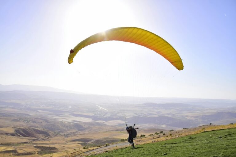 digital expansion launch initiated