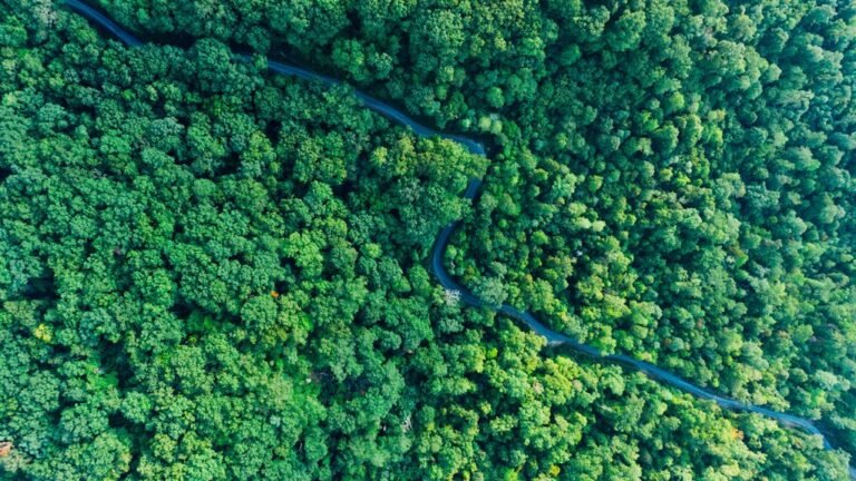 stellar growth trajectory analysis